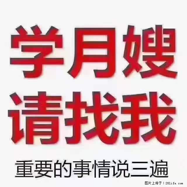 为什么要学习月嫂,育婴师? - 新手上路 - 保定生活社区 - 保定28生活网 bd.28life.com