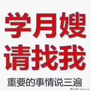 为什么要学习月嫂,育婴师? - 保定28生活网 bd.28life.com