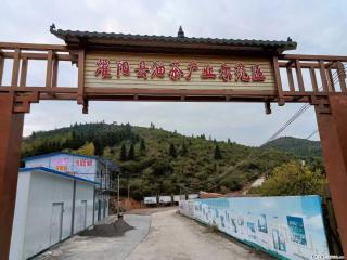 【灌阳县油茶产业示范区】一个有着充实的精神生活的人,对待身外之物自会有一种淡泊的态度 - 保定28生活网 bd.28life.com