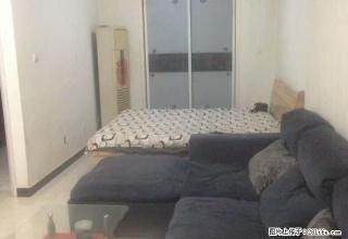 实图!红旗大街上朗月蓝庭一室一厅,精装修带全家全电拎包入住急 - 保定28生活网 bd.28life.com