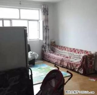 鑫欣文雅苑两室装修,家电配套齐全, - 保定28生活网 bd.28life.com