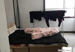 白沟荣誉小区一居室出租,家电齐全,拎包入住,包物业取暖!! - 保定28生活网 bd.28life.com