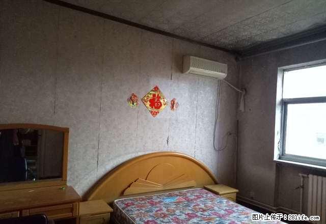 农专北院 文澜阁2室 南北通透全家全电 拎包入住 价格便宜 - 房屋出租 - 房屋租售 - 保定分类信息 - 保定28生活网 bd.28life.com