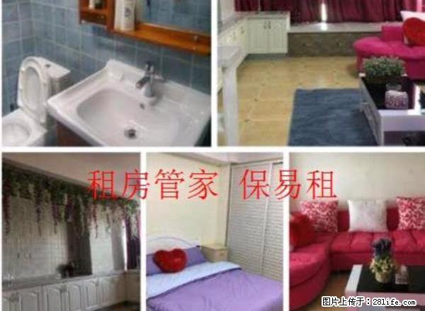 出租 未来石 精装 一室一厅 全家电 随时看房 房主好说话 - 房屋出租 - 房屋租售 - 保定分类信息 - 保定28生活网 bd.28life.com