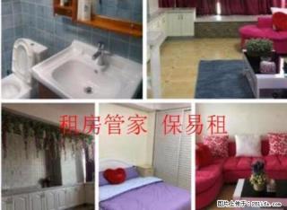 出租 未来石 精装 一室一厅 全家电 随时看房 房主好说话 - 保定28生活网 bd.28life.com
