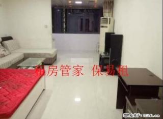 出租 未来石一室一厅 精装修全家电 随时看房 - 保定28生活网 bd.28life.com