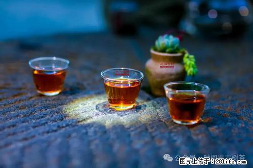 时间果百年古树2025年春红茶 - 购物交流 - 保定生活社区 - 保定28生活网 bd.28life.com