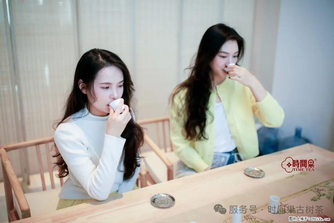 时间果百年古树龙珠普洱生茶 - 购物交流 - 保定生活社区 - 保定28生活网 bd.28life.com