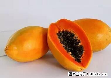 晕车、脚气、牙齿变黄、皮肤粗糙?学会这些三分钟搞定! - 保定生活资讯 - 保定28生活网 bd.28life.com