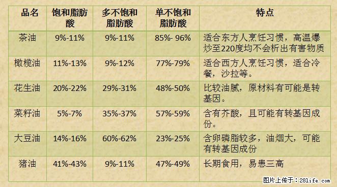 揭秘茶油的5大核心营养成分!被称为人体健康的“守护盾”! - 保定生活资讯 - 保定28生活网 bd.28life.com