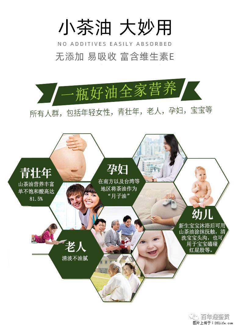 世界没有真相,只有认知,最好的食用油是中国的山茶油! - 保定生活资讯 - 保定28生活网 bd.28life.com