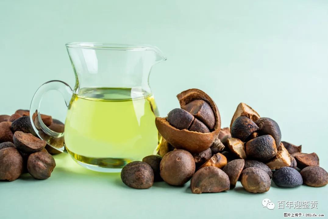 世界没有真相，只有认知，最好的食用油是中国的山茶油！ - 保定生活资讯 - 保定28生活网 bd.28life.com
