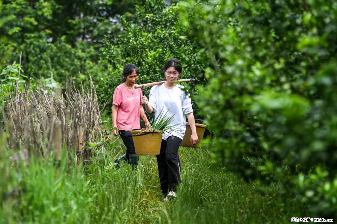 全网追的“扁担女孩”，找了一份暑假工，时薪12元 - 保定生活资讯 - 保定28生活网 bd.28life.com