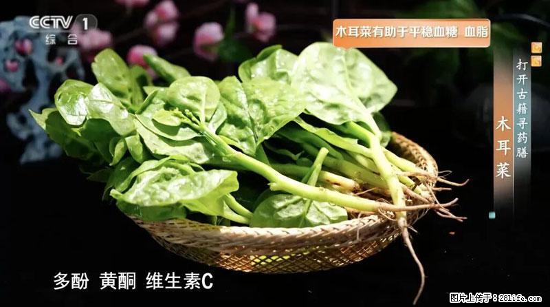 比牛奶补钙还厉害！凉血解毒、稳血糖...这菜冬天必吃，很多人却当草 - 保定生活资讯 - 保定28生活网 bd.28life.com