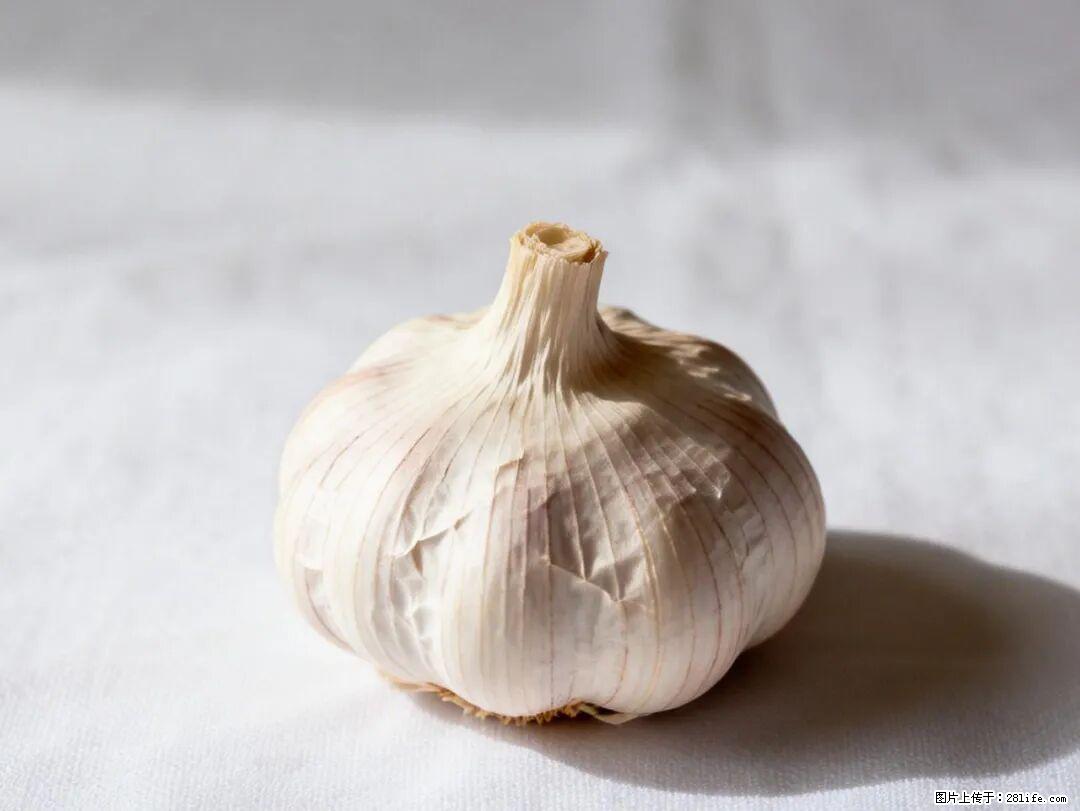 关于大蒜，除了“天然抗生素”，这4个谣言更该警惕! - 保定生活资讯 - 保定28生活网 bd.28life.com