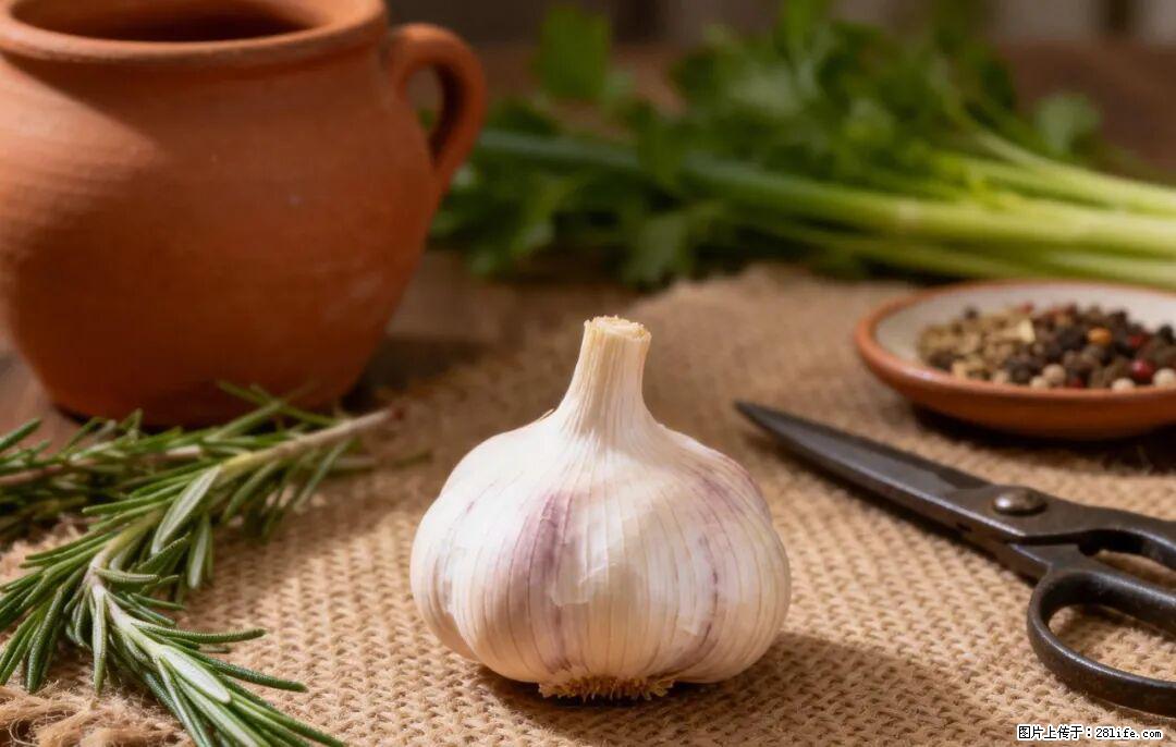 关于大蒜，除了“天然抗生素”，这4个谣言更该警惕! - 保定生活资讯 - 保定28生活网 bd.28life.com