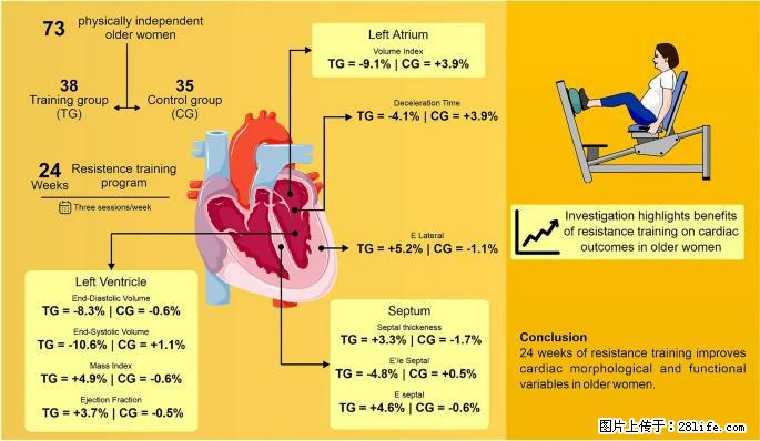 坚持这种运动6个月，心脏有了显著变化！不是跑步，也不是走路 - 保定生活资讯 - 保定28生活网 bd.28life.com