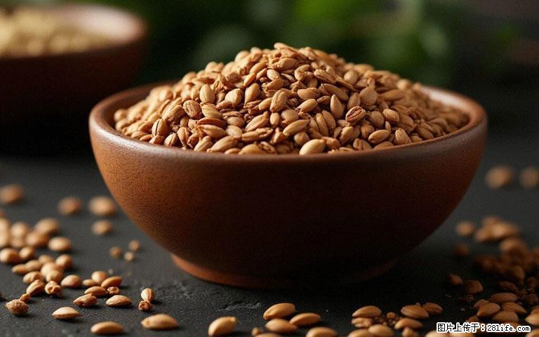 这三苦是三高“克星”，心血管干净不易堵！每天吃一点，指标慢慢降下来~ - 保定生活资讯 - 保定28生活网 bd.28life.com