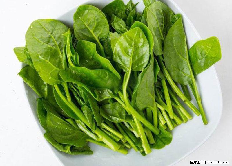 这些蔬菜是“天然钙片”，这6种被医生重点推荐 - 保定生活资讯 - 保定28生活网 bd.28life.com