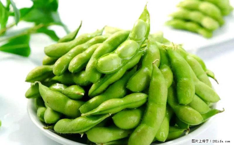 这些蔬菜是“天然钙片”，这6种被医生重点推荐 - 保定生活资讯 - 保定28生活网 bd.28life.com