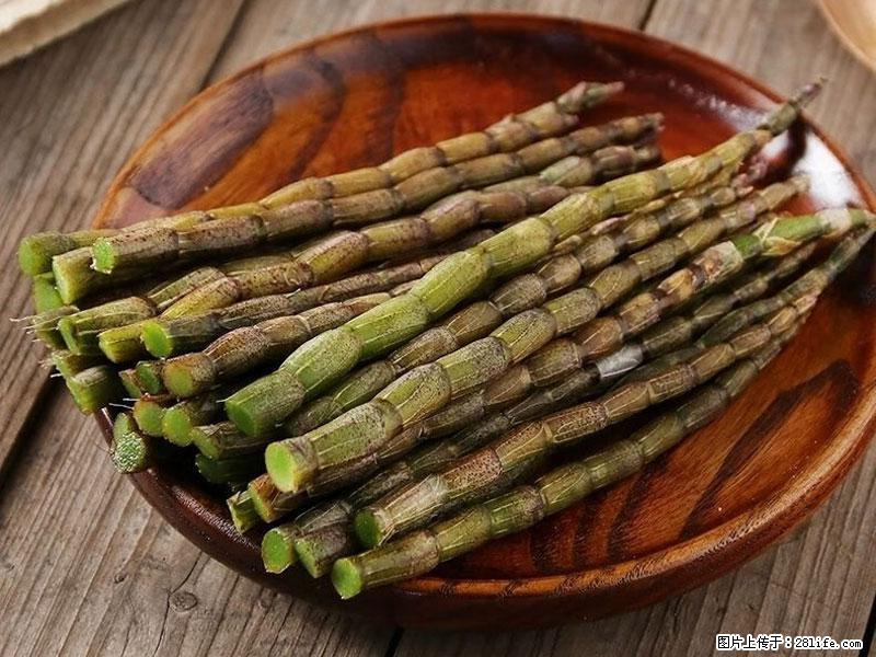 铁皮石斛的作用与功能主治 - 保定生活资讯 - 保定28生活网 bd.28life.com