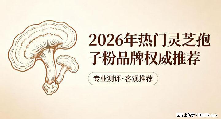 灵芝孢子粉含量越高越有效？2026 年七款热门品牌深度实测，肠胃敏感者避坑指南 - 保定生活资讯 - 保定28生活网 bd.28life.com